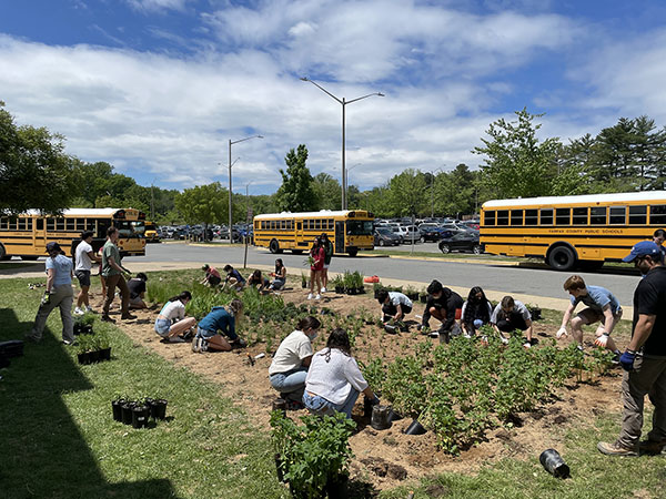 IB Environmental students creating the bioretention garden